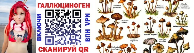 Псилоцибиновые грибы Magic Shrooms  Саянск 