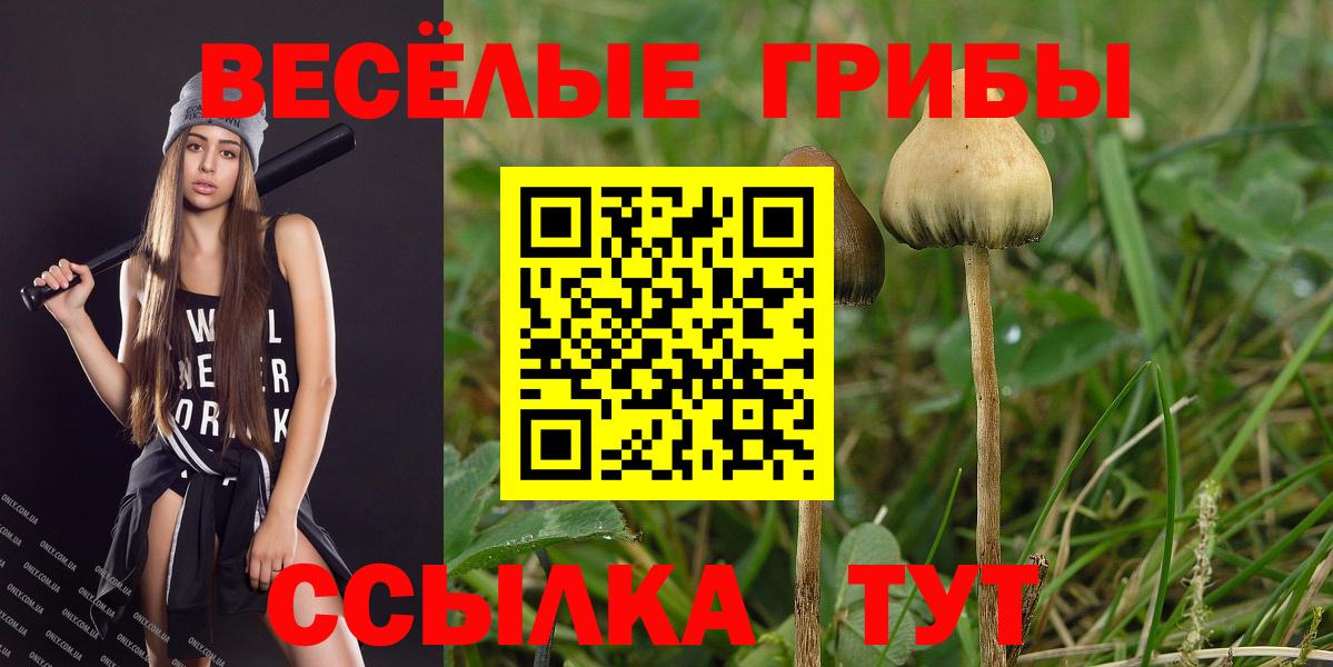 Псилоцибиновые грибы прущие грибы Саянск