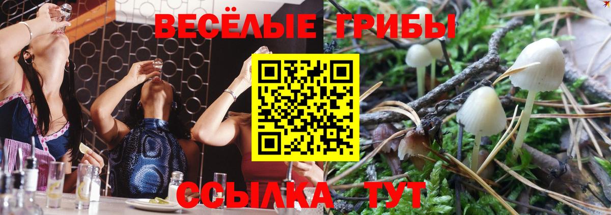 Галлюциногенные грибы Magic Shrooms  где продают наркотики  Галлюциногенные грибы Cubensis  Саянск  Вход с VPN 
