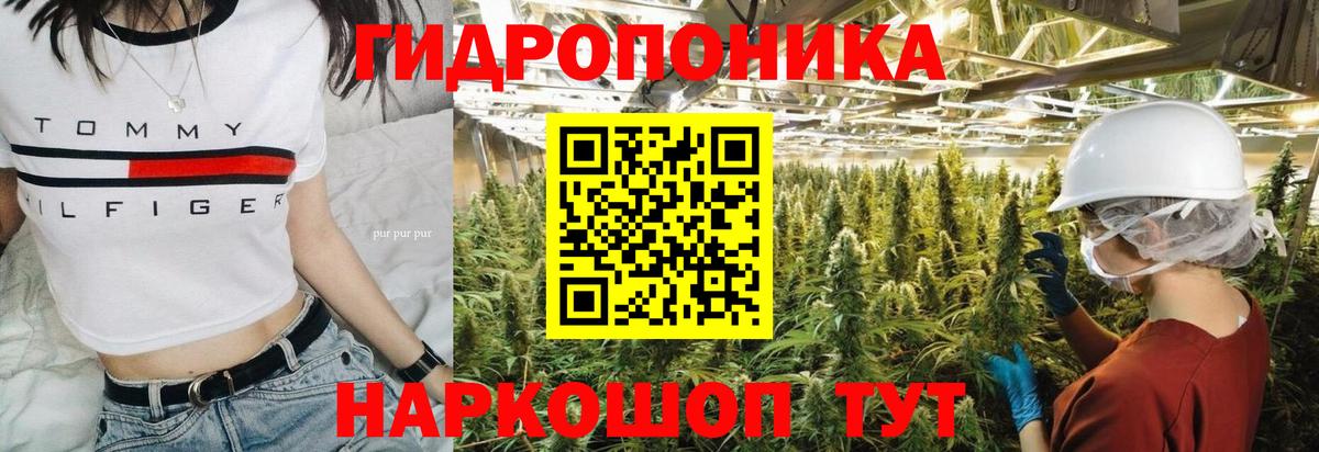 Шишки марихуана Ganja Саянск